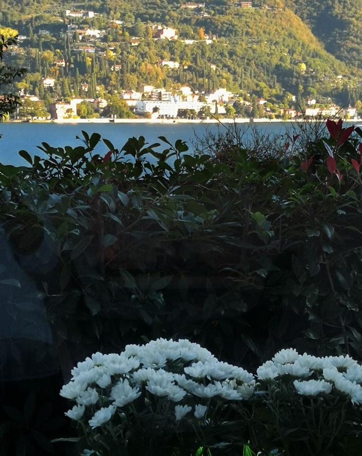 B&B Le Farfalle San Felice del Benaco Exterior photo